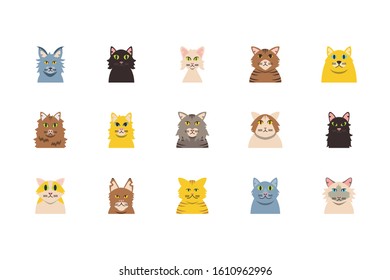 Set of cute cats cartoons design, Animal pet kitten domestic feline kitty mammal beautiful and portrait theme Vector illustration
