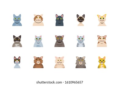 Set of cute cats cartoons design, Animal pet kitten domestic feline kitty mammal beautiful and portrait theme Vector illustration