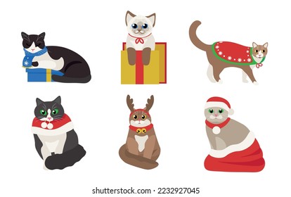 Set of cute cats in Christmas costumes and with gifts on white b