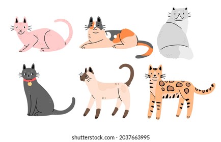 Set of cute cats of different breeds in flat cartoon style. Collection of characters of cats. Vector illustration.