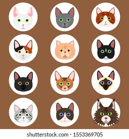 set of cute cats face