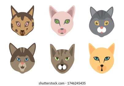 Set of cute cats. Funny doodle animals. Kittens in cartoon style