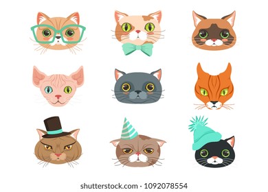 Set of cute cats heads of different breeds, colorful character vector Illustrations