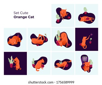 Establecer la ilustración de gatos lindos con acciones únicas en fondo azul claro