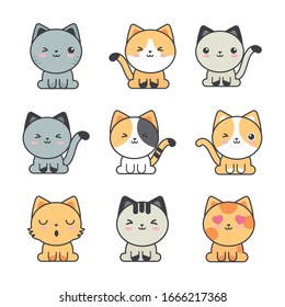 set of cute cats on white background vector illustration design
