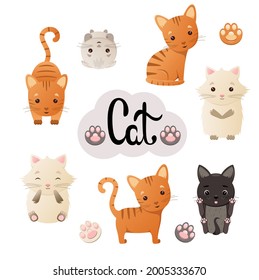 Eine Reihe süßer Katzen auf weißem Hintergrund. Kinderillustration für Tiere.