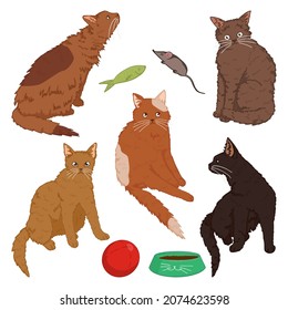 Set of cute cats. Pet animals, kitten collection. Hand drawn vector illustration. Colored cliparts isolated on white. Elements for decor, stickers, design, card, print.