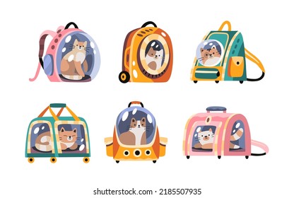 Set of cute cats in pet carriages. Travel with animals. Collection of flat hand drawn cartoon vector illustrations for stickers, web, cards, ads, social media. Expressive pet characters. Cat day. 