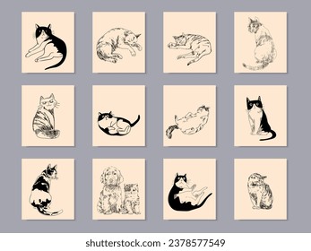 Set of cute cats poses hand drawn vector illustration. Cartoon portraits of playful pets with funny face cats.