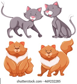 Set of cute cats thin and fat illustration