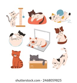 Set of cute cats in various postures, domestic kitten, playful animal. Flat cartoon style vector illustration isolated on white background