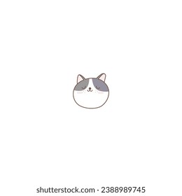 set of cute cats in white animal