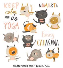 Set of cute cats in yoga asana postures