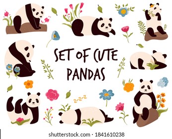 Set of cute cheerful pandas in different poses. Animal character design