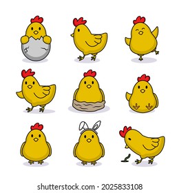 Set of cute chick baby chicken