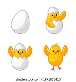 Set of cute chicken hatches from an egg. Vector drawn cartoon style illustration. Farm pets and birds. Isolated funny chik.