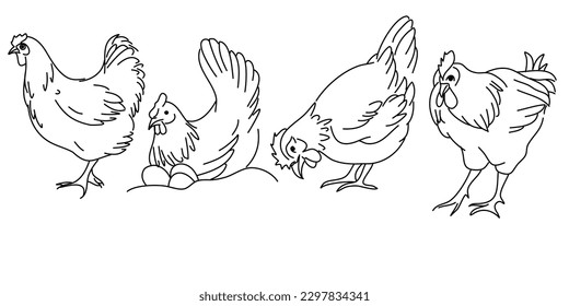 Set of cute chicken hen doodle. Hand drawn illustration on white background.