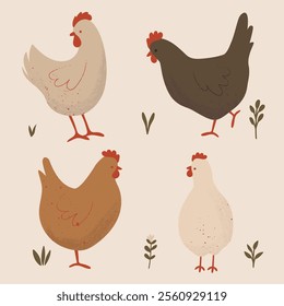 Set of Cute Chickens Illustration. Hand Drawn Farm Animals.