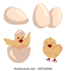 Juego de preciosas pollitas y huevos aislados en blanco. Ilustraciones de material vectorial dibujado a mano. Doodles de dibujos animados de colores. Dibujos de animales primaverales. Elementos para el diseño de pascua, postales, impresos, pegatinas, etc.