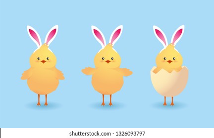 set cute chicks farm animal with broken egg