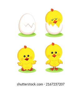 Set of cute chicks on white background