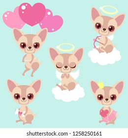 Set of cute chihuahua dogs for congratulations for a birthday or Valentine's Day. Romantic stickers. Children's characters. Kawaii puppies.