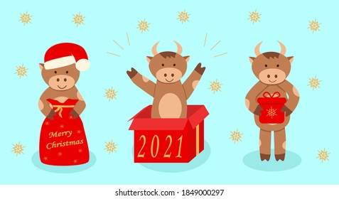 A set of cute Christmas bulls, a symbol of the Chinese new year