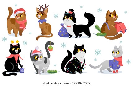 Set of cute Christmas cat characters in costumes, isolated on white background. Different cat breeds: Santa hat, knitted sweater and scarf, with gift box. Cartoon style vector illustration.