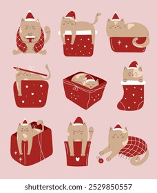 Set of cute Christmas cats in Santa hat in gift box, sock, blanket. Hand drawn doodle illustration.