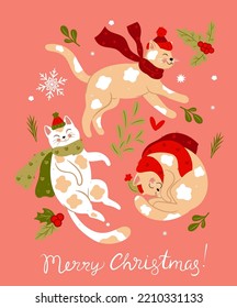 Set of cute Christmas cats in scarves and hats. Vector graphics.