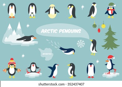 Set of cute Christmas character - penguin. Vector illustration 