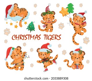 Ein paar süße Weihnachtstigers