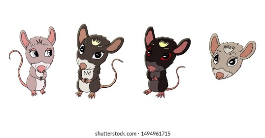 set of cute colored rats for new year 2020.  Cute rat character