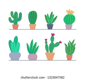 Set of cute colorful cactus, succulents, aloe in different flower pots. Cacti set. Exotic plants collection isolated on white background. Cactus with flowers. Vector illustration