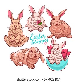 set of cute colorful easter bunnies. hand-drawn illustration