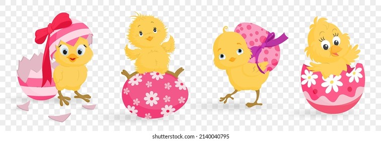 Set of cute colorful Easter chicks, Easter symbol vector collection. Collection of cartoon easter chiken baby, spring festive animals. Vector illustration on PNG background. 