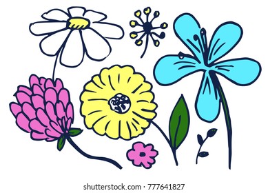 Set of cute colorful flowers vector illustration of hand drawing blue yellow white and pink flowers with green leaves isolated on light background