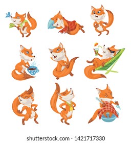 Set of cute colorful fox character in different actions