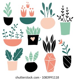 Set of cute colorful hand drawn flower pots. Flat style, doodle home plants. Botany illustration. Vector. Isolated