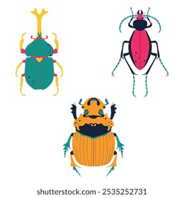 Conjunto de insectos lindos y coloridos. Escarabajo rinoceronte japonés, mormón Dichotomius, azul Ceroglossus. Ilustración vectorial, conjunto de iconos.