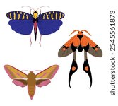 Set of cute, colorful insects. Semioptila fulveolans, Monachidium, Elephant hawk moth. Vector illustration, icon set.