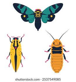 Set of cute, colorful insects. Semiotus imperialis, Callogaeana festiva, Madagascar hissing cockroach. Vector illustration, icon set.