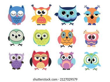 Set of cute colorful owls on white background. Vector illustration beautiful birds of prey with colorful feathers and funny big eyes in flat style.