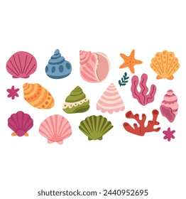 Set of cute colorful seashells and corals. Vector illustration