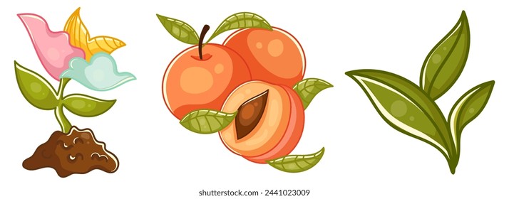 Set of cute colorful Spring collection of flowers and decorations. For poster, card, scrapbooking , stickers