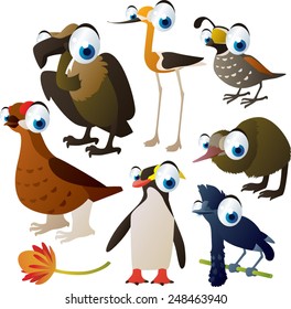 set of cute comic animals: birds: grouse, avocet, kiwi, umbrella bird, quail, penguin and vulture
