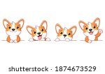 Set of cute corgi dog. Set of borders with kawaii welsh corgi puppy. Collection of dogs with different emotion - funny, happy, surprised, sticking out tongue. Vector illustration EPS8