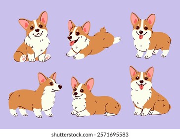 Set of cute corgi dogs in different poses. Vector graphics