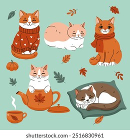 Set of cute cozy autumn cats. Vector graphics.