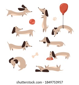 Conjunto de lindos perros Dachshund de estilo plano. Colección de graciosos personajes de cachorros en un fondo blanco. Clipart con perros largos. Ilustración del vector